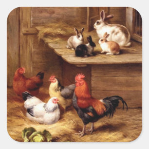Pegatina Cuadrada Gallos gallinas conejos conejos granja pollos lind