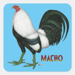 Pegatina Cuadrada Gamecock Macho Duckwing