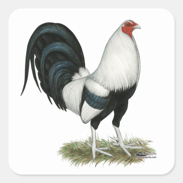 Pegatina Cuadrada Gamecock plateado (Anverso)