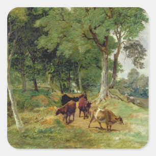 Pegatina Cuadrada Ganado bovino de Devonshire Lane