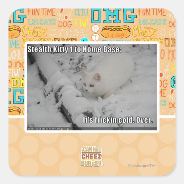 Pegatina Cuadrada Gatito 1 de la cautela (Anverso)