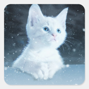 Pegatina Cuadrada Gatito blanco lindo con ojos azules de Bonito