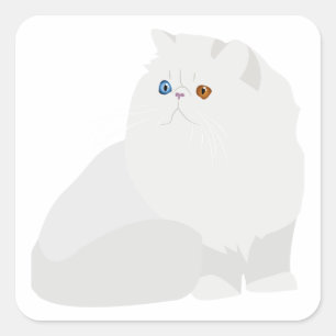 Pegatina Cuadrada gatito blanco persa