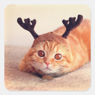 Pegatina Cuadrada gatito con un gorra de renos Navidades