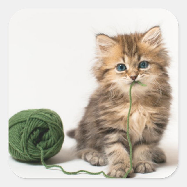 Pegatina Cuadrada Gatito con yarn verde (Anverso)