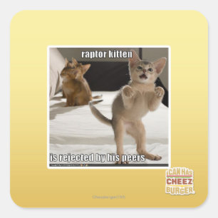 Pegatina Cuadrada Gatito del rapaz