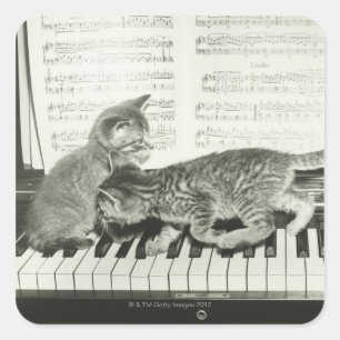 Pegatina Cuadrada Gatito dos que juega en el teclado de piano, (B&W)