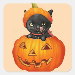 Pegatina Cuadrada Gatito lindo en calabaza Halloween