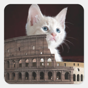 Pegatina Cuadrada gatito romano