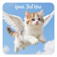 Gatito Volador Adorable Calico Tabby Cielo Azul