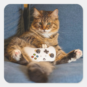 Pegatina Cuadrada Gato Atigrado Pequeño y Lindo Gamer Gatito