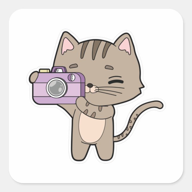 Pegatina Cuadrada Gato como fotógrafo con cámara (Anverso)