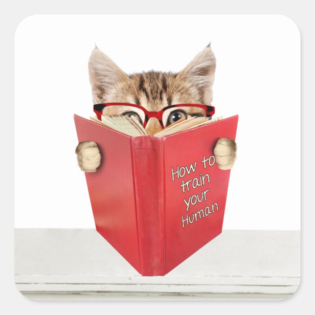 Pegatina Cuadrada Gato con gafas y libro rojo (Anverso)