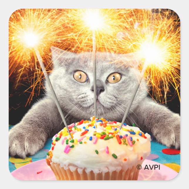 Pegatina Cuadrada Gato Con Pastel De Sparkler (Anverso)