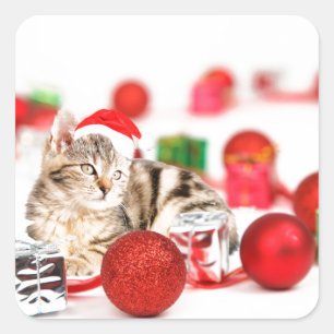 Pegatina Cuadrada Gato con sombrero rojo de Papá Noel Ornamento de N