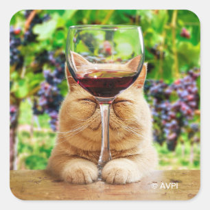 Pegatina Cuadrada Gato con vidrio de vino