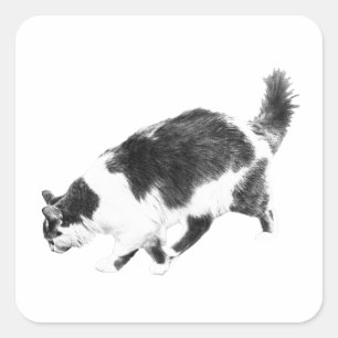 Pegatina Cuadrada Gato de Halloween en línea negra