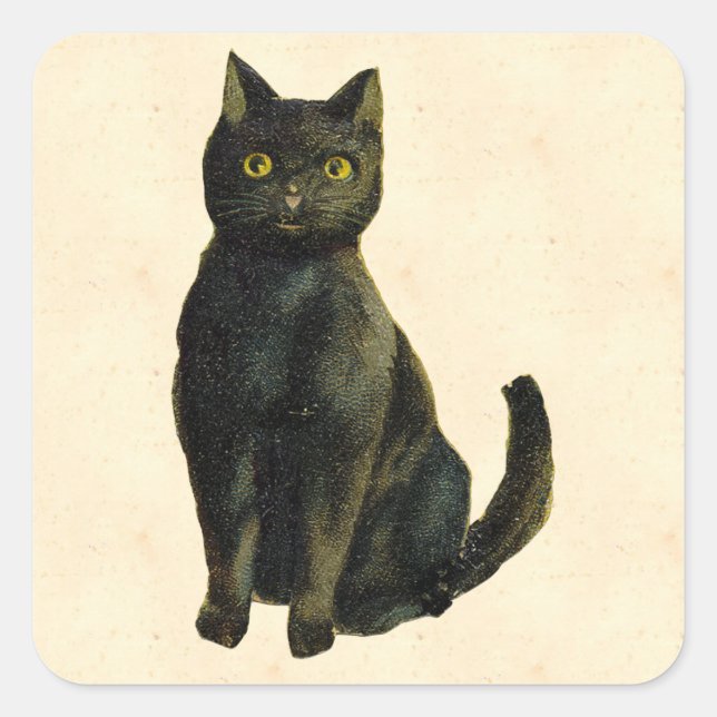Pegatina Cuadrada Gato de Halloween vintage (Anverso)