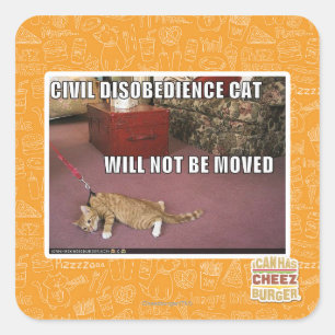 Pegatina Cuadrada Gato de la desobediencia civil