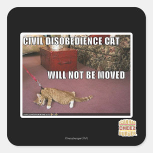 Pegatina Cuadrada Gato de la desobediencia civil