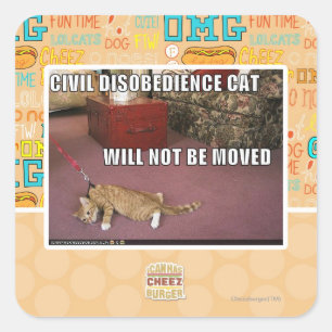 Pegatina Cuadrada Gato de la desobediencia civil