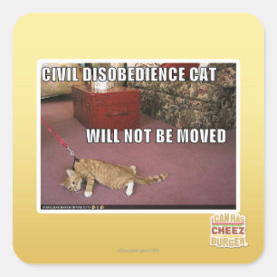 Pegatina Cuadrada Gato de la desobediencia civil