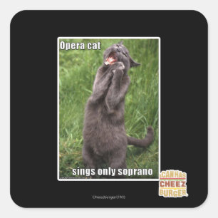 Pegatina Cuadrada Gato de la ópera