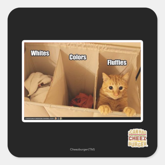 Pegatina Cuadrada Gato de lavado (Anverso)