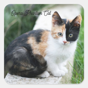 Pegatina Cuadrada Gato de ópera fantasma