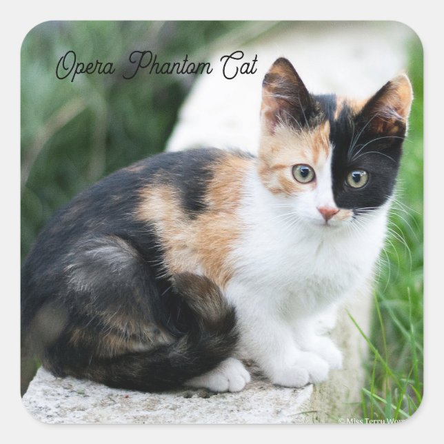 Pegatina Cuadrada Gato de ópera fantasma (Anverso)