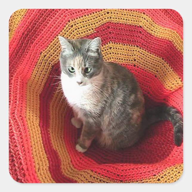 Pegatina Cuadrada Gato de Perla en Afgano (Anverso)