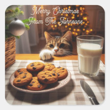 Gato de Tabby corto llegando a Navidades de cookie