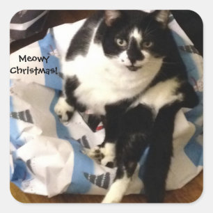 Pegatina Cuadrada Gato de Tuxedo lindo Presente pegatinas de Navidad