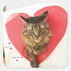 Pegatina Cuadrada Gato del corazón