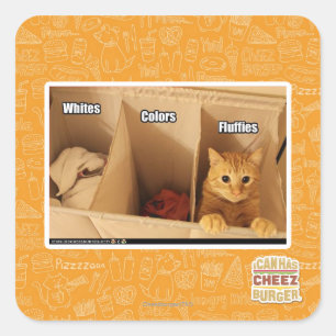 Pegatina Cuadrada Gato del lavadero