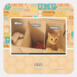 Pegatina Cuadrada Gato del lavadero