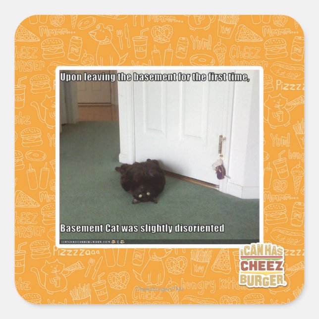 Pegatina Cuadrada Gato del sótano, ligeramente desorientado (Anverso)