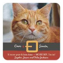 Gato divertido de Navidad Santa más ronroneo menos