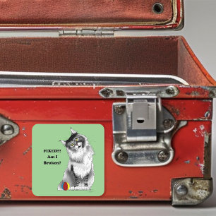 Pegatina Cuadrada Gato divertido y esponjoso Maine Coon humor verde