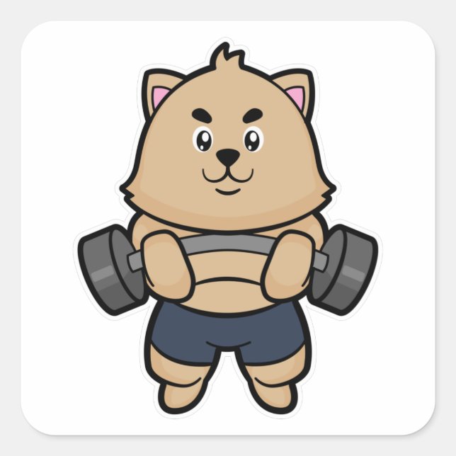 Pegatina Cuadrada Gato en Bodybuilding con Barbell (Anverso)