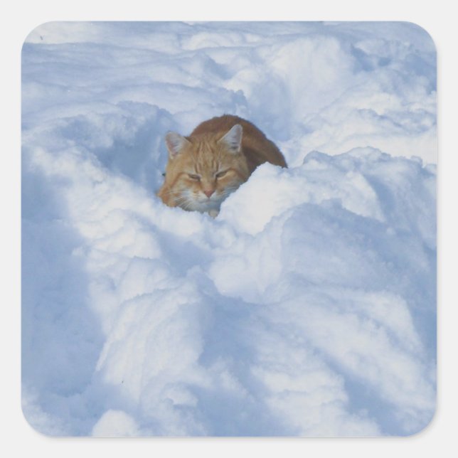 Pegatina Cuadrada Gato en la nieve (Anverso)