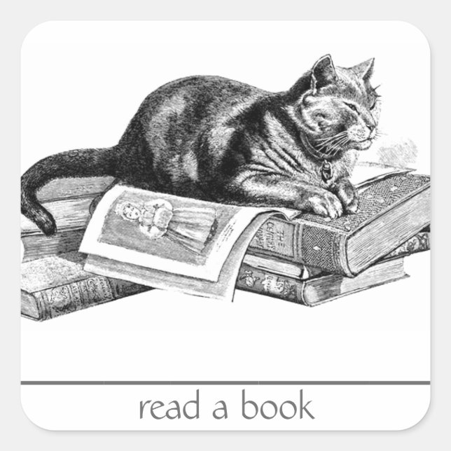 Pegatina Cuadrada Gato en los libros (Anverso)