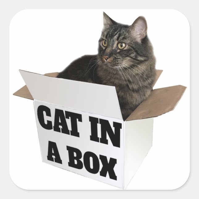 Pegatina Cuadrada ¡Gato en una caja! (Anverso)