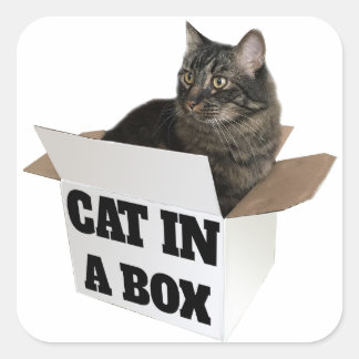 Pegatina Cuadrada ¡Gato en una caja!
