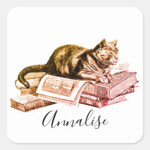 Pegatina Cuadrada Gato En Una Pila De Libros