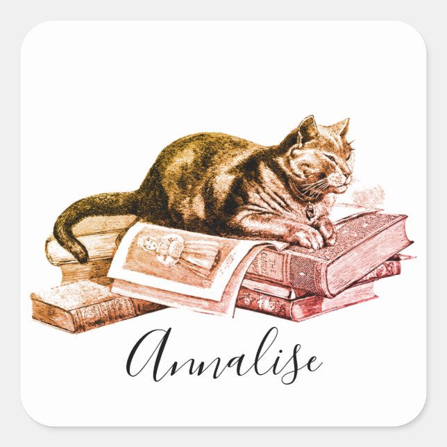 Pegatina Cuadrada Gato En Una Pila De Libros (Anverso)