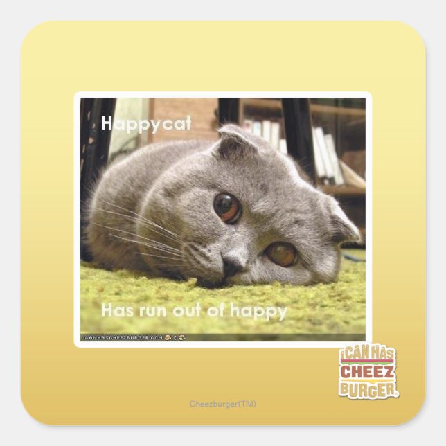 Pegatina Cuadrada Gato feliz, descontento (Anverso)