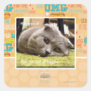Pegatina Cuadrada Gato feliz, descontento