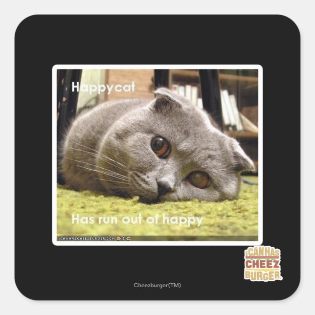 Pegatina Cuadrada Gato feliz, descontento (Anverso)