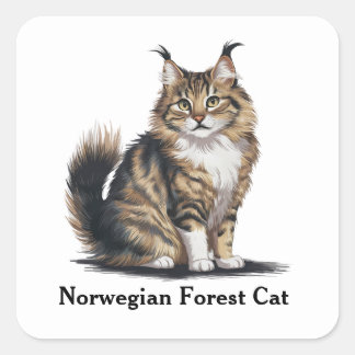 Pegatina Cuadrada Gato forestal noruego